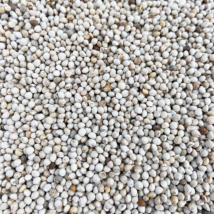 New white su soft su bird food and parrot canary sparroon bird yellow bird