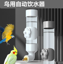 Automatic bird drinking fountain striker kettle cockatiel drainer water feeder large birdcage accessories