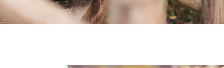 Китайцы одежда наборы 原创藏枫改良汉服女中国风秋冬汉元素少女民族风加绒藏袍披风套装