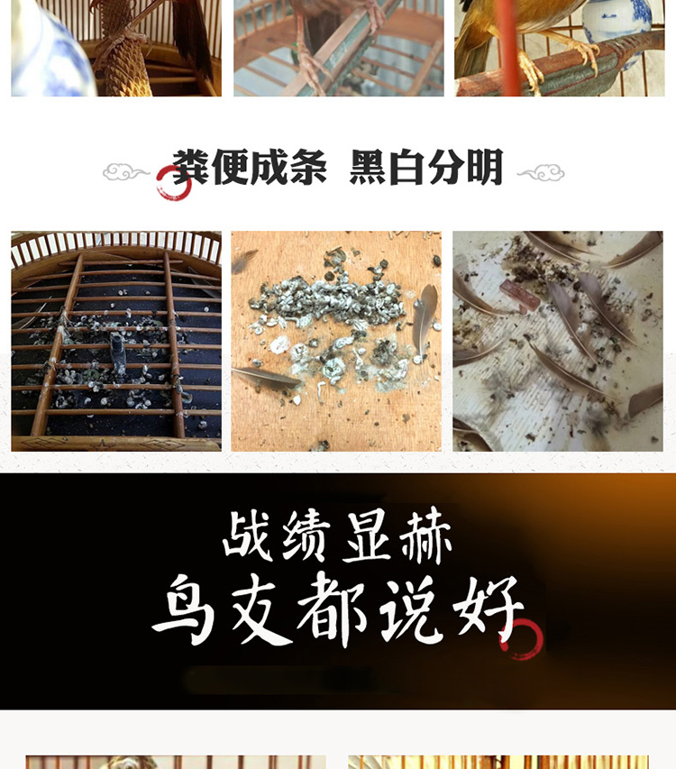 Thrush chim thức ăn thức ăn cho chim thức ăn cung cấp chim mynah lark thức ăn chim chiến đấu vật chất chim nâng quan hệ tình dục chim hót chim cộng với côn trùng - Chim & Chăm sóc chim Supplies thức ăn cho chim cút