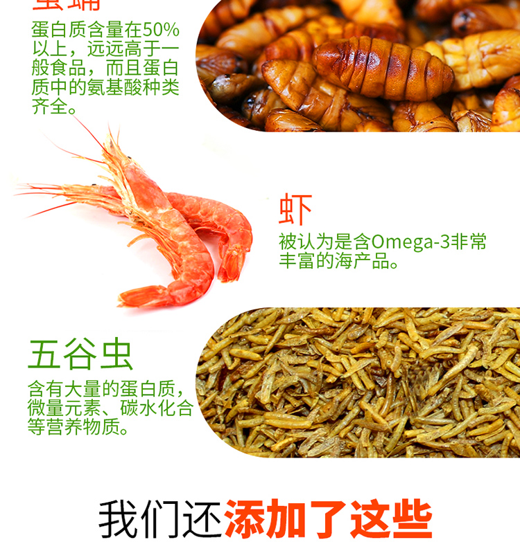 Thrush chim thức ăn thức ăn cho chim thức ăn cung cấp chim mynah lark thức ăn chim chiến đấu vật chất chim nâng quan hệ tình dục chim hót chim cộng với côn trùng - Chim & Chăm sóc chim Supplies thức ăn cho chim cút