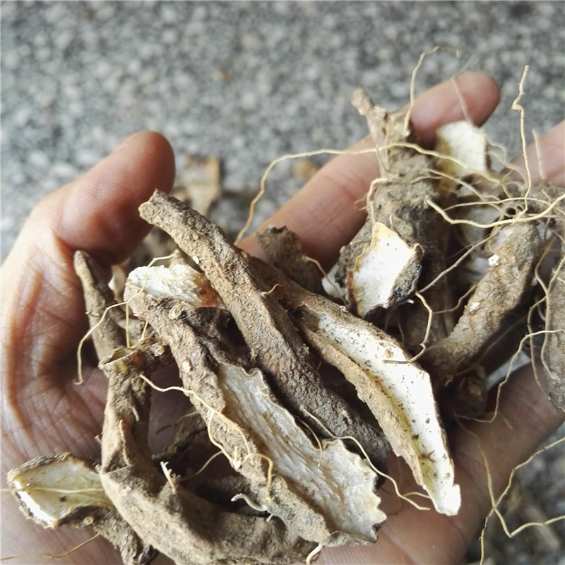 Shaanxi Qinling wild turmeric fire head root fire vine root wearing ground dragon dry goods sliced ​​turmeric 500g