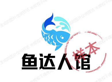 鱼达人馆