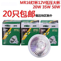 Lighting tomorrow Flower Lighting Source Bubble 12V plug in MR16 Halogen lamp cup 20W 35W 50Wz illumination warm light