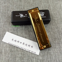 Swan harmonica 10 holes C tune blues harmonica beginner playing ten holes harmonica three colors optional