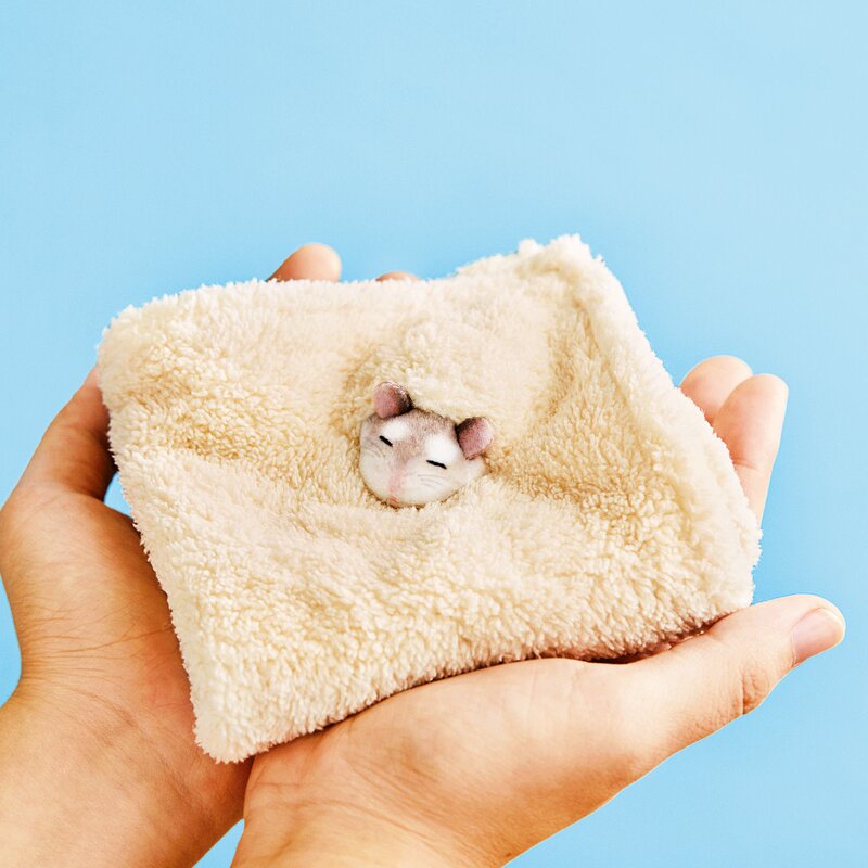 Japanese Imported Genuine Handkerchief with a Hamster Sleeping in Sawdust, Soft and Absorbent Hand Towel, Fenrichimeng