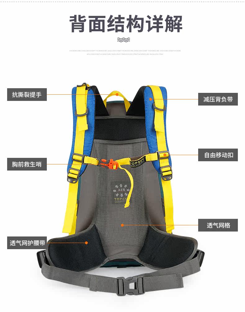 30667 Детали_08.jpg