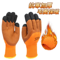 Dipped cold-proof Terry gloves winter warm foam non-slip wear-resistant plus velvet padded rubber nylon labor protection gloves