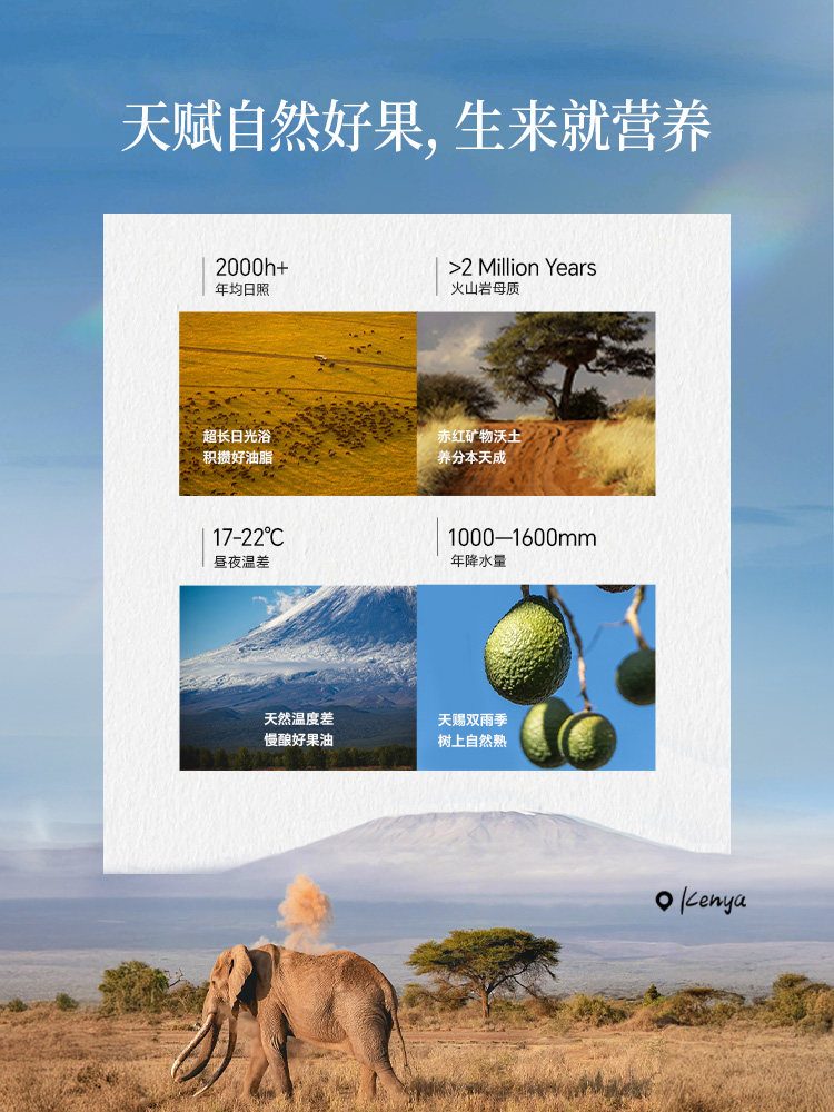 Shengmai Avocado Oil 1L*5 Bottles Cold-Pressed Imported Crude Oil for Stir-Frying, Fitness, Light Meals, Low-Smoke Cooking Oil Flagship Store