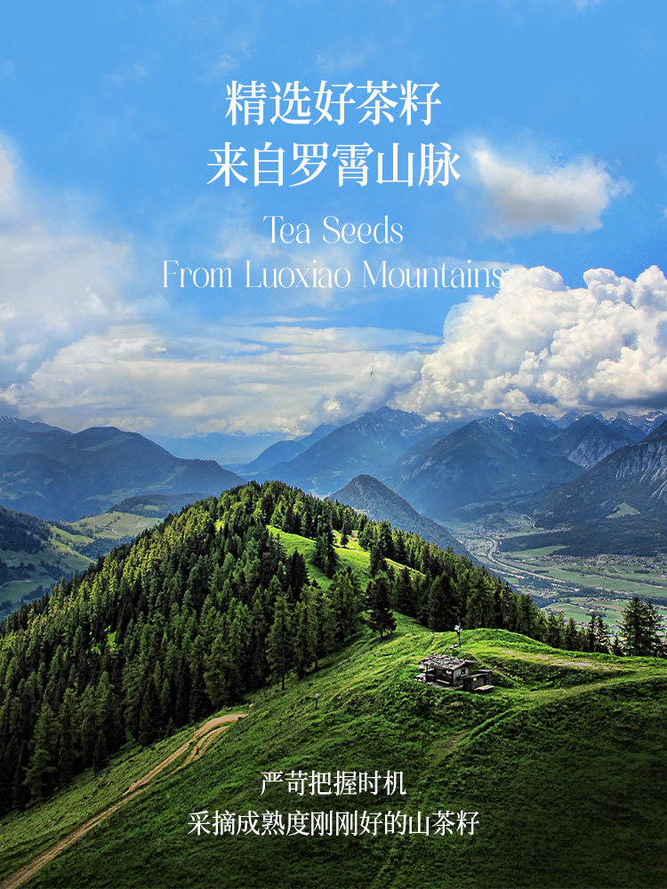 Shengmai Camellia Seed Oil 2L*2 Bottles, First-Grade Pressing, Authentic, 0 Trans Fatty Acids, Official Flagship Product, Edible, Stockpile Pack