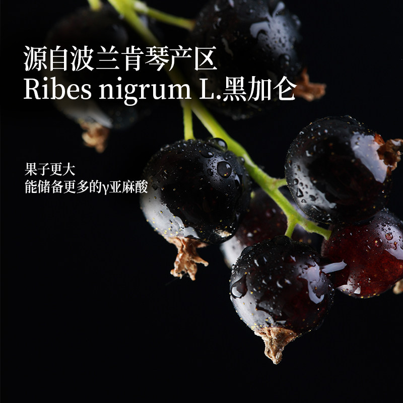 [Shengmai]Blackcurrant Seed Oil Γ-Linolenic Acid Nutritional Oil Plant Seed Oil Official Flagship Store Genuine Product