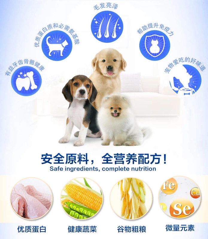 Số lượng lớn IQDog thức ăn cho chó thông minh thịt bò hương vị thức ăn cho chó 500 g