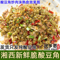 Hunan specialty sour beans farm homemade pickled beans acid cowpea sauerkraut appetizing jar xia fan cai