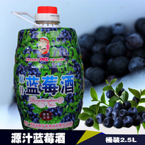 Blueberry Wine Wild Blueberry Fruit Wine From Brewery Sweet Wine Ice Wine Girl With Water Fruity Wine Lady Low