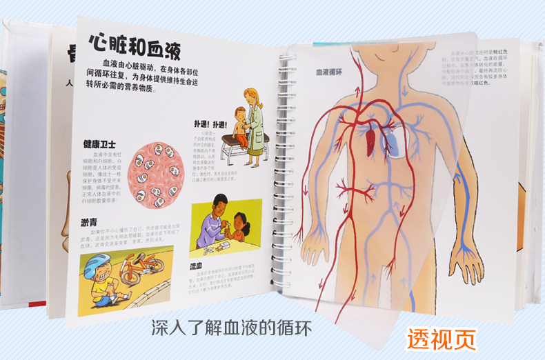 【中国直邮】我们的身体3D立体书 儿童人体认知百科书 儿童宝宝科普百科生理启蒙绘本 儿童身体翻翻书 立体书科普