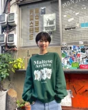 Инь Джингхан Сонг Сонг Зюра и тот же корейский корейский дизайнер 21 Осень Уайкеи Симпатичный Собач