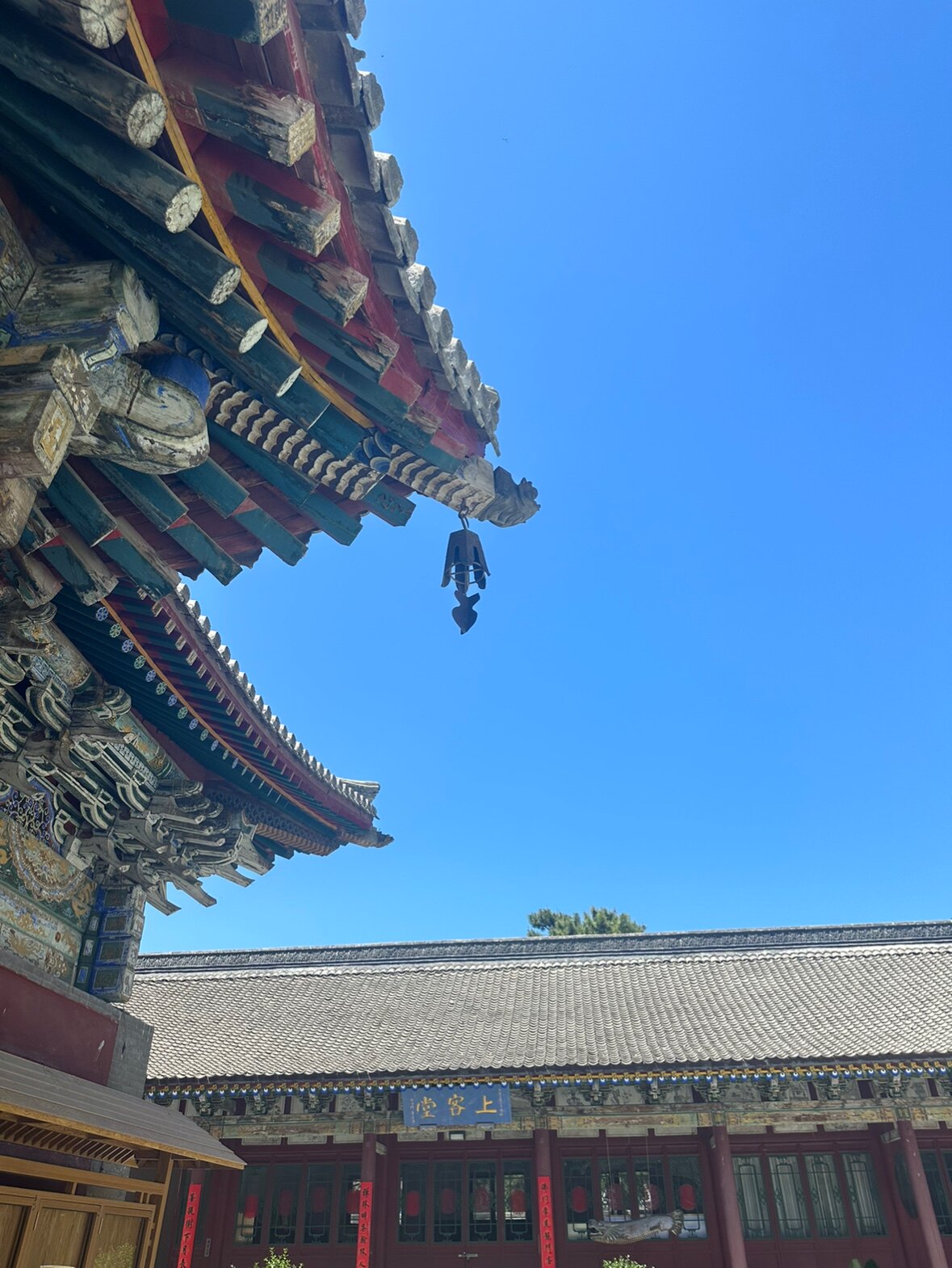 三洋景观 仿真植物的LOGO