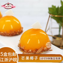 Colorful Mango Coconut Coconut Frozen Cake style dessert Afternoon Tea Pastry Wedding sweet tasting Terrace Tea Chic Snack Cookies