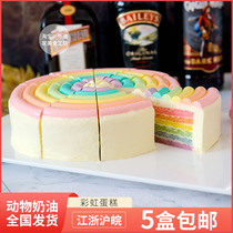 New Penthouse Rainbow Cake 8 Inch Frozen Afternoon Tea Sweet to be Colorful Colorful and European Coursepoint Ice Brown