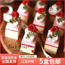 Simple House Cake Cherry Blossom Kiss Frozen Small West Point Afternoon Tea Hysteria Hotel Buffet Hotel Buffet Hodgehodge Net Red Food