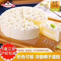 Bigville Intense Aroma Coconut Frozen Cake Café Café Afternoon Tea Break Sweet Biscuit Ice Cream Gift Snacks