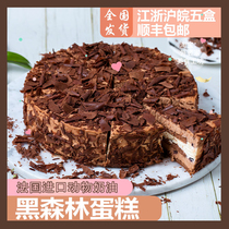 New Penthouse Black Forest 8 Inch Birthday Frozen Cake Café Sweet chocolate biscuit bread West Point Zero