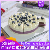 Ke Classic Blueberry Cheese Frozen Cake Private Animal Cream Wedding Dessert Restaurant Hotel Coffee Snacks
