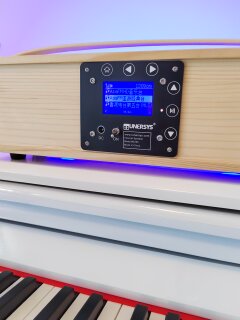 TUNERSYS田朗森司网络收音机WiFi炫彩蓝牙实木音箱七彩露营音响