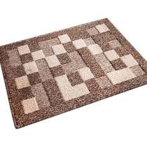 Advanced simple door-to-door floor mats for home entry-level anti-slip floor mats stain-resistant mats water-absorbing and dust-removing thickened carpets