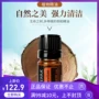 Duo Duo Rui arborvitae tinh dầu đơn 5ml tinh khiết tự nhiên sạch không khí tẩy giun mạnh Authentic - Tinh dầu điều trị tinh dầu sả