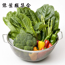 T3 leaf family indoor flower potted garden planting vegetables Four Seasons sown in summer autumn easy to grow fruits vegetable seeds