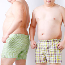 Design for bears pure cotton color plaid men bear claw plus fat large size loose home slit four corner Aro underwear