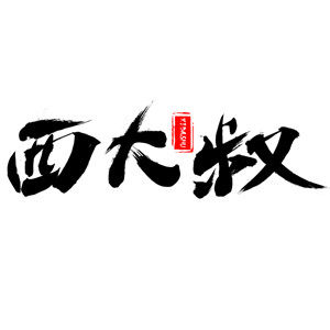 西大叔沙发套定制工厂直销店