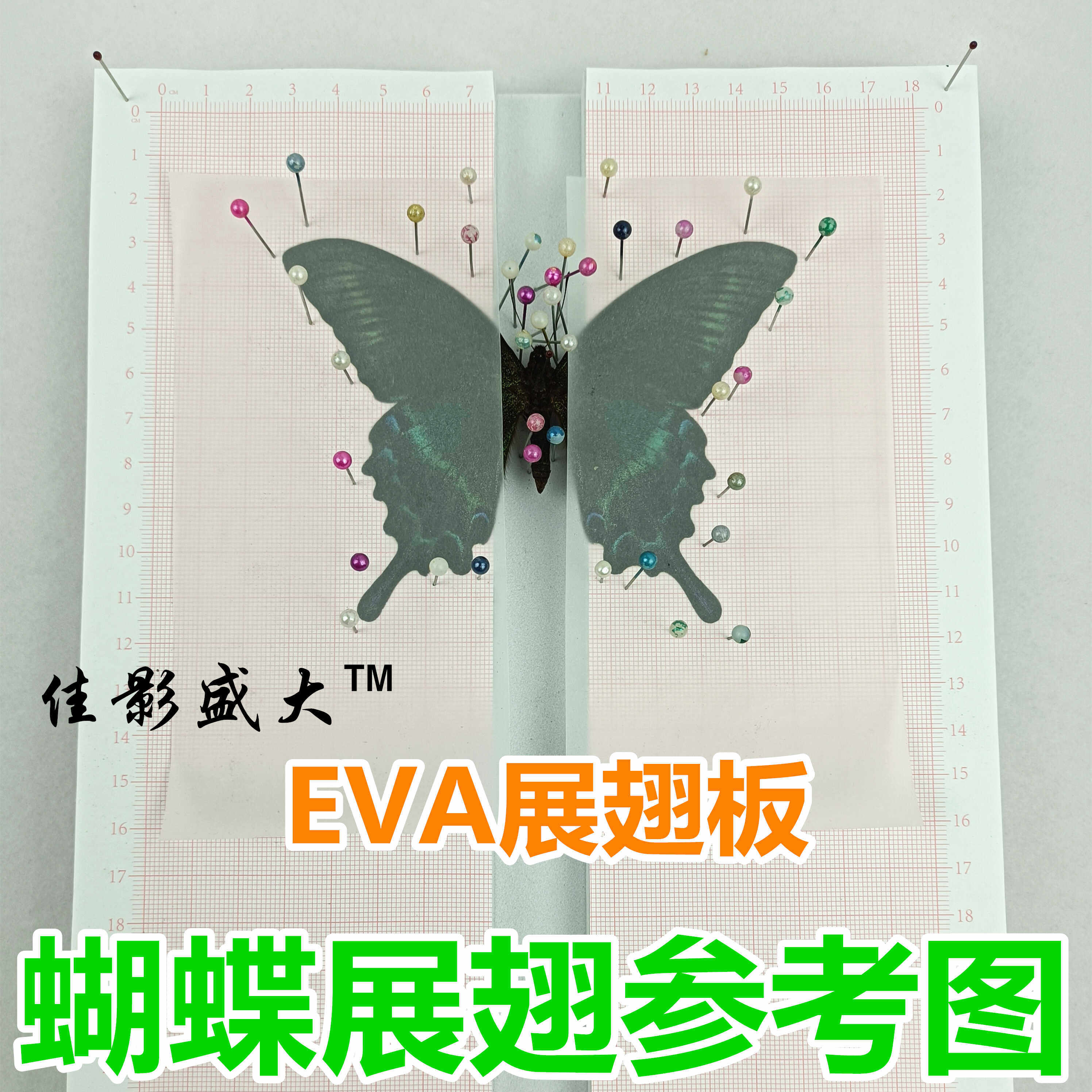 蝴蝶标本展翅板，DIY制作工具全解析🔍-标本类装饰画-淘宝好物网