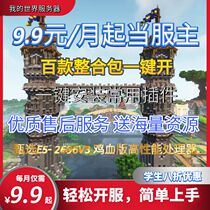 Minecraft server Minecraft server MC server server opening panel rental Bedrock version online