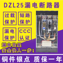 DZL25-200 4300 100A 160A 200A 250A transparent leakage circuit breaker plastic case protector