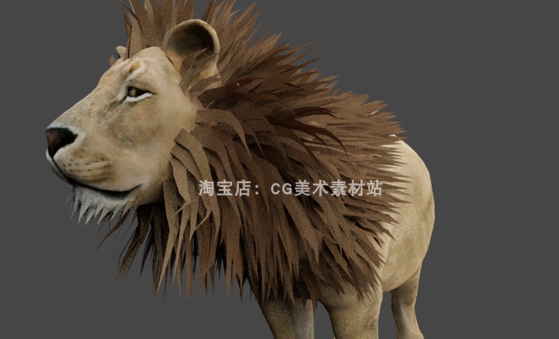 图片[6]-Blender食肉动物森林之王野兽生物狮子骨骼绑定动画3D模型素材-cg男孩