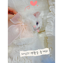 Cat Lace Saliva scarf Wear scarf Neck Butterfly Knot Ornament Item Ring Dog Triangle Towel Small Fairy Fairy Enclosure Ornament