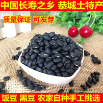 Rice beans black beans fresh Guangxi Gongcheng local specialty farmers