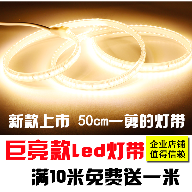 Giant sequin LED lamp with 50CM-one cut living room ceiling indoor outdoor waterproof light strip 5630 patch 220v