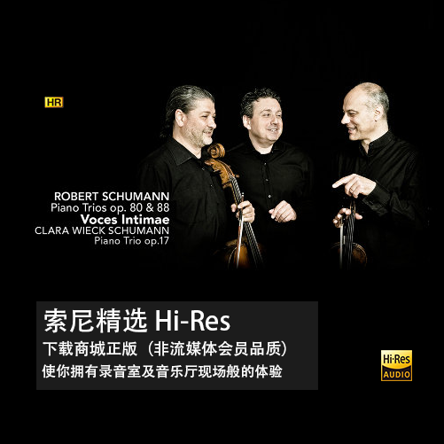 Suitable for sony selected hires high quality dsd lossless audio source hifi fever master tape music download