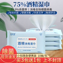 Portable sanitized removal of bacteria with 75% alcohol disinfection wet towels Disposable Pouch hand extraction Wet Towel 10 Sheet Clothing