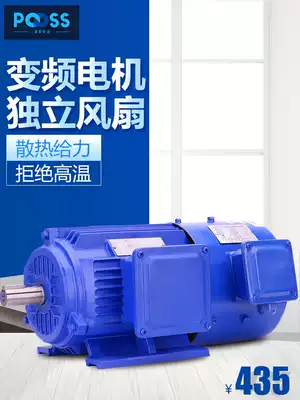 Puth YVF2 frequency conversion speed regulation Motor three-phase 380V asynchronous motor stepless low speed motor national standard copper core