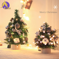 Christmas Carnival Christmas Decoration Nordic 60 90cm Mini Christmas Tree Package Desktop Window Decoration