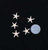 5 морских звезд