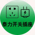 泰力开关插座正品店
