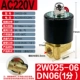 2W025-06 (AC220V)