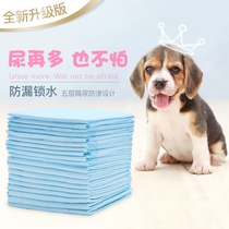 Dog diaper Pet diaper Teddy Diaper Cat diaper Absorbent pad Thickened deodorant diaper Dog supplies