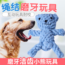 Pet dog cotton rope Bear molar toy Teeth cleaning Bite-resistant teeth cleaning teeth Molar cotton rope small toy