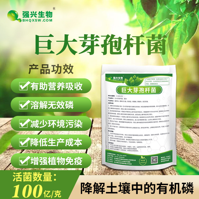 10 billion grams of giant Enterobacter relieves soil organophosphorus to improve fertilizer efficiency to boost crop growth